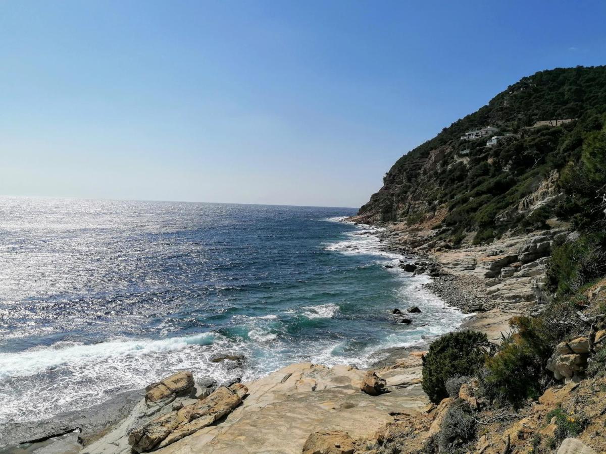 Villa Dali La Garde 260M2 Jacuzzi, Sauna, Piscine, Jardin 500M2, 5 Minutes De La Plage Dış mekan fotoğraf